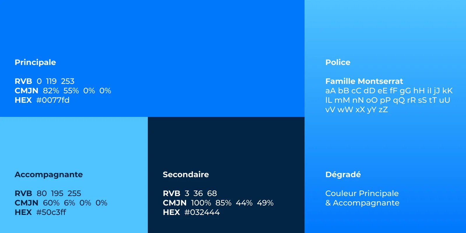 Evidentall · couleurs (bleu principal, bleu accompagnant, bleu nuit) et typographie Montserrat